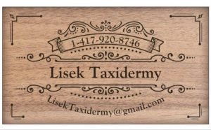 Lisek Taxidermy Sign